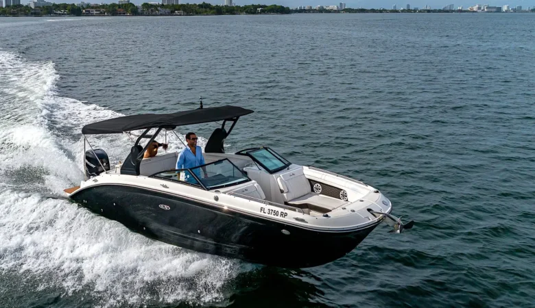 29-searay24